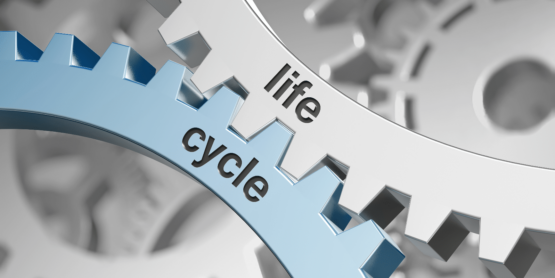 Strengthening your Online Store in the Digital Age: Integrating Security into Every Stage of the Life Cycle.