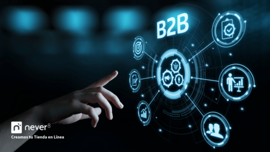 B2B e-commerce has revolutionized business interactions in the digital environment, introducing unique complexities and scales that demand specialized solutions. Unlike B2C, B2B transactions require tailored strategies to efficiently manage these relationships. Discover how Never8 can boost your B2B e-commerce strategy!